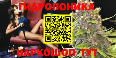 мдпв Можга