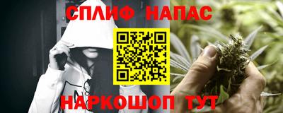 мдпв Можга