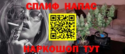 мдпв Моздок