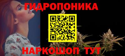 мдпв Можга