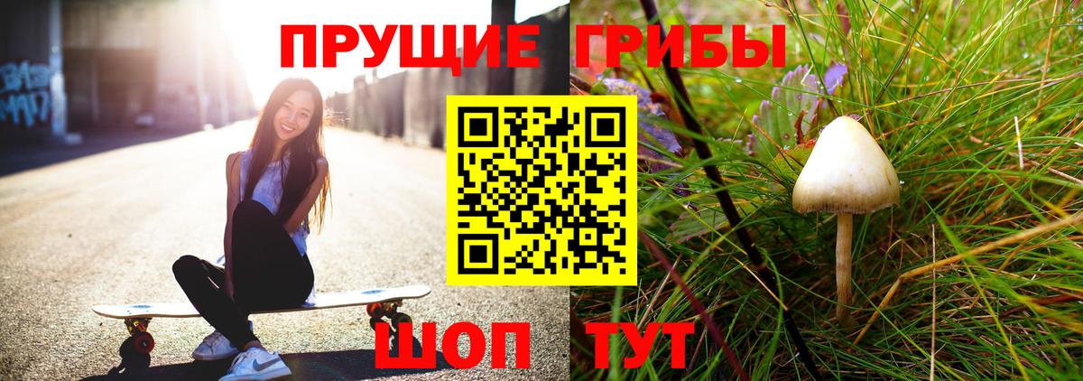 Псилоцибиновые грибы Cubensis  Вход с VPN  Губкинский 